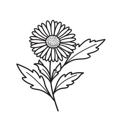 Hand drawn floral illustration of a daisy flower with leaves in black and white.