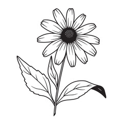 Simple outline illustration of a daisy flower with leaves on a white background