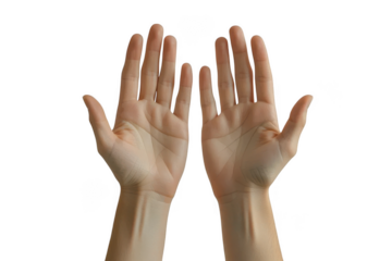 Two open hands isolated on transparent background