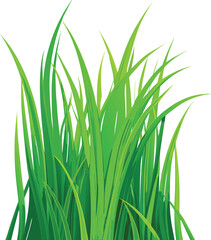 Lush green grass blades vector illustration nature plant