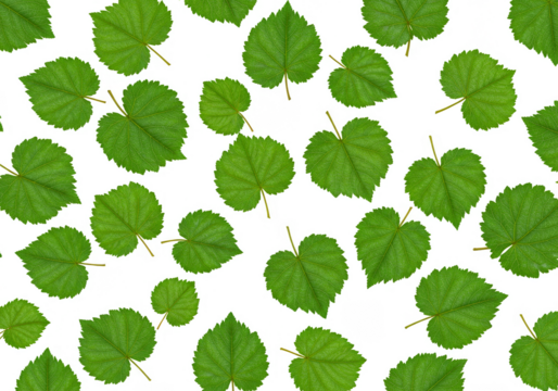 Seamless Green Leaf Pattern Transparent Background Botanical Foliage