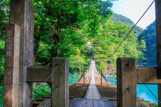夢のつり橋