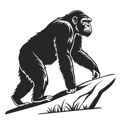 Fototapeta premium Ape Silhouette Isolated Wild Animal on White Background