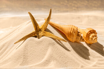 Starfish and seashells on the sand with a wooden background. Beach scene. Summer concept