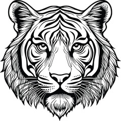 Tiger Face Vector Doodle Line Art Fierce Illustration,
