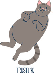 Trusting cat pet animal language