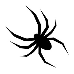 spider silhouette vector