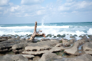 Scenic coastal view with driftwood and crashing waves.