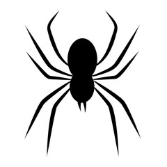 spider silhouette vector