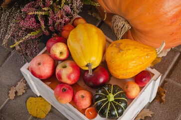 In the box there is a harvest of apples, pumpkins, zucchini, the concept of an autumn harvest.