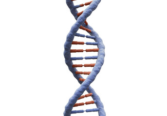 3D Helix Dna Biology Science Molecule Genetic Transparent Background