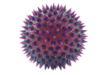 3D Render of Coronavirus Viral Microscopic Pathogen on Transparent Background