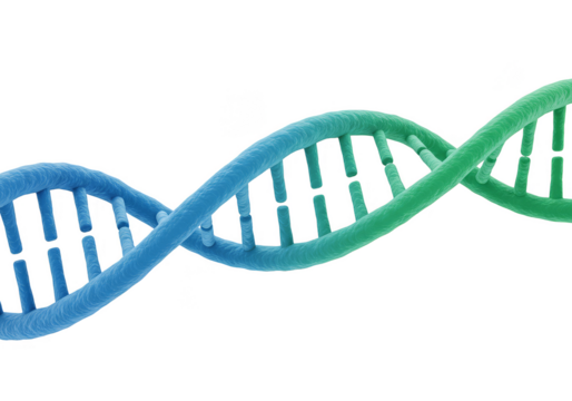 3D Rendering of DNA Double Helix Structure Molecular Genetic Code