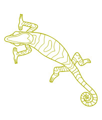 : Lizards Panther Chameleon.