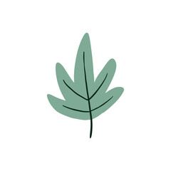 Leaf graphic design vector illustration