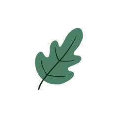 Leaf graphic design vector illustration