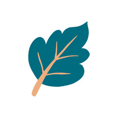 Leaf graphic design vector illustration