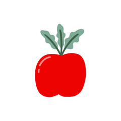tomato food design illustration