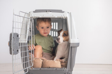 Little child in a cage with a Jack Russell Terrier dog. 