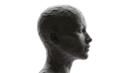 Abstract Cracked Skin Portrait Transparent Background Woman Face Detail