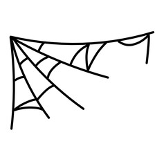 spider web illustration