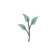 Leaf graphic design vector illustration