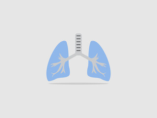 healthy human lungs and trachea