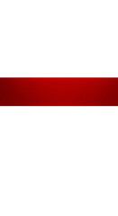 Obraz premium Abstract Red Pixel Art Background with Transparent Area