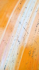 orange curve background