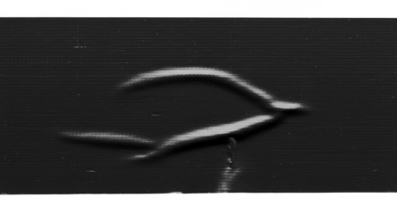 Abstract Transparent Background Design Black Curve Artistic Template