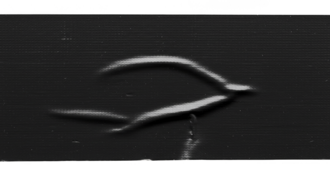 Abstract Transparent Background Design Black Curve Artistic Template