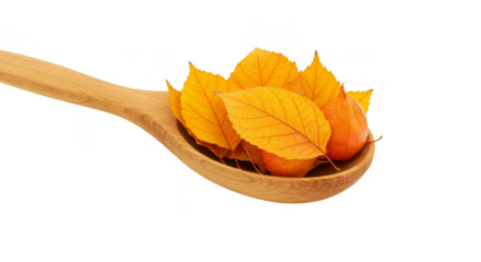 Autumn Leaves in Wooden Spoon Fall Season Isolated Transparent
