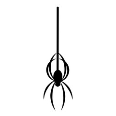 Spider hanging vector
