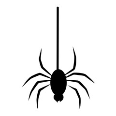 Spider hanging vector