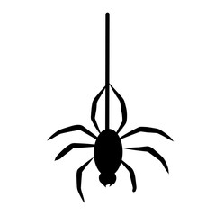 Spider hanging vector
