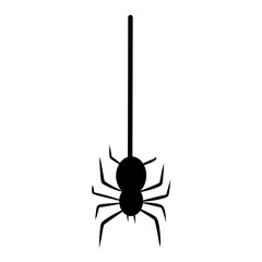 Spider hanging vector