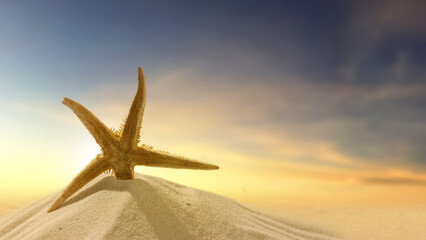 Fototapeta na wymiar Starfish on a beautiful sandy beach with a sunset scene. Natural background. Summer concept
