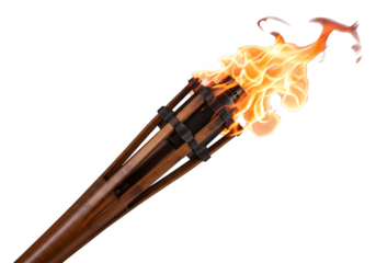 Burning Torch Flame Firelight Fuels Portable Energy on Transparent Background