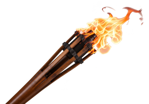 Burning Torch Flame Firelight Fuels Portable Energy on Transparent Background
