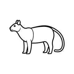 vector image of a bear