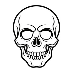 human skull vector illustration