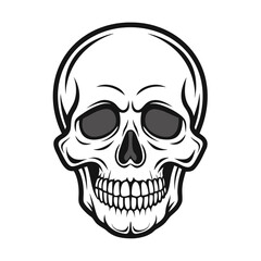 human skull vector illustration