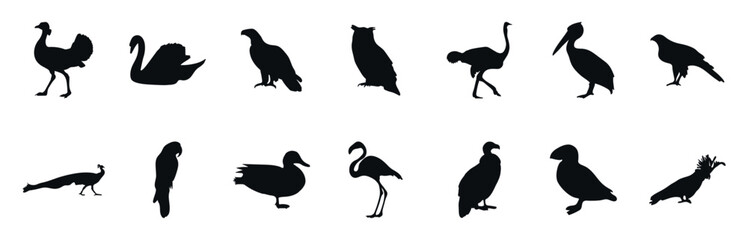 Collection of vector bird illustrations is an amazing black and white collection of various silhouettes. It is ideal for decorating zoo, nature, animal and bird themed objects