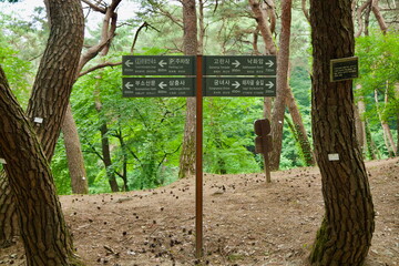 Trail Signpost within Buso Mountain Fortress