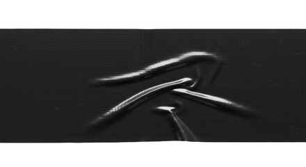 Eel Illustration Black Eels Anguilla Grayscale Eel Isolated Background