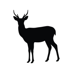 Deer Silhouette Isolated on White Background
