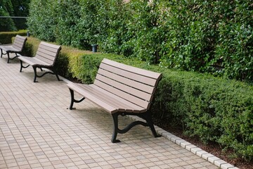 Fototapeta premium New bench in the park