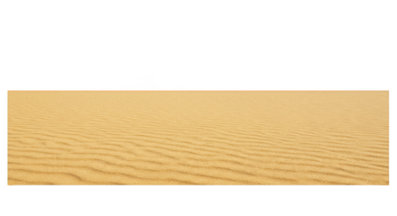 Grain Field Transparent Background Wheat Crop Golden Agriculture