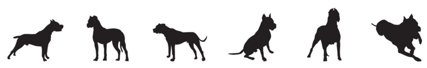 A set of dog silhouette vector, Pet dog pose silhouettes set isolated flat vector illustration on white background.
Vector illustration
