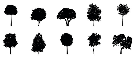 Detailed tree silhouettes of various trees on white background, Vector illustration
